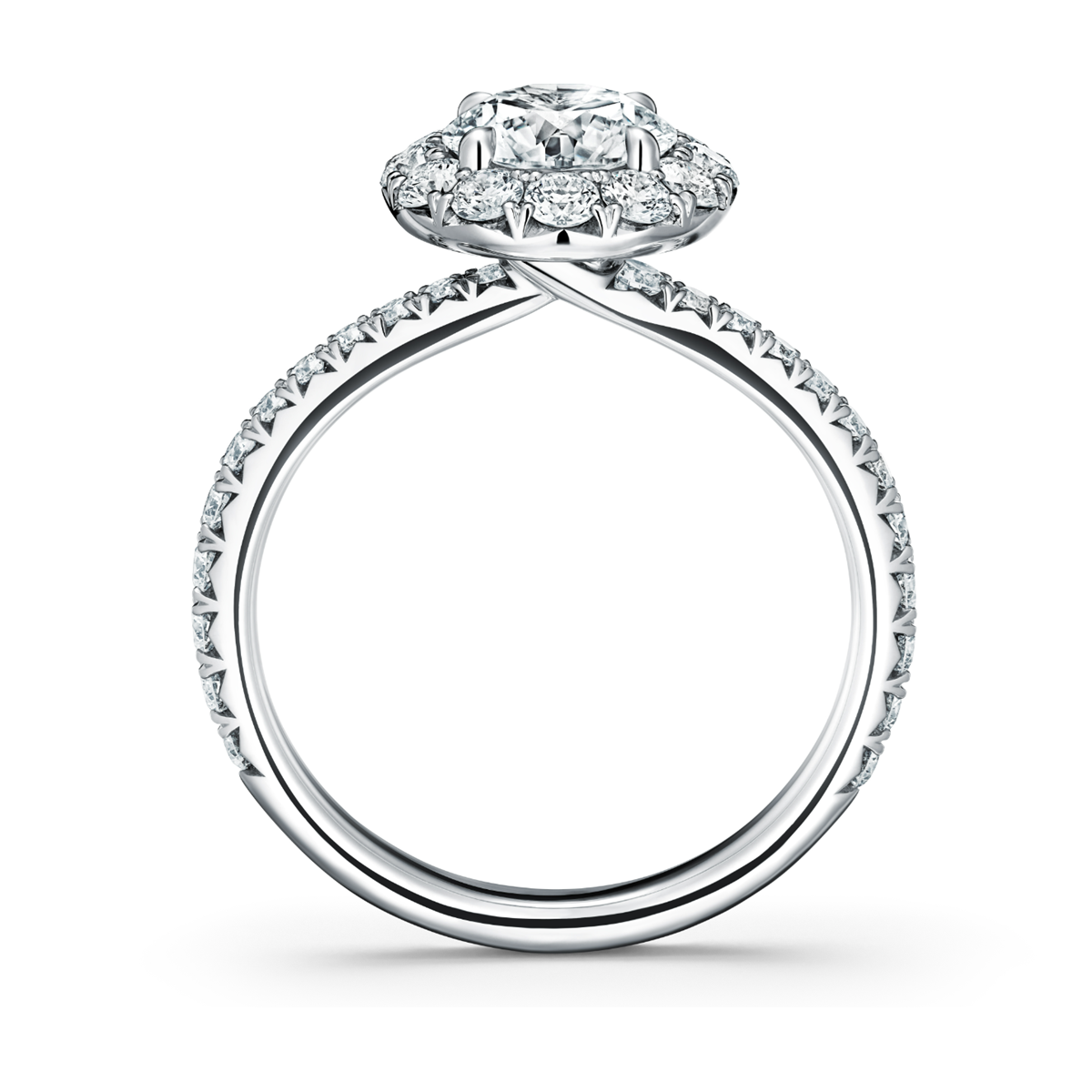 Vela collection diamond halo ring