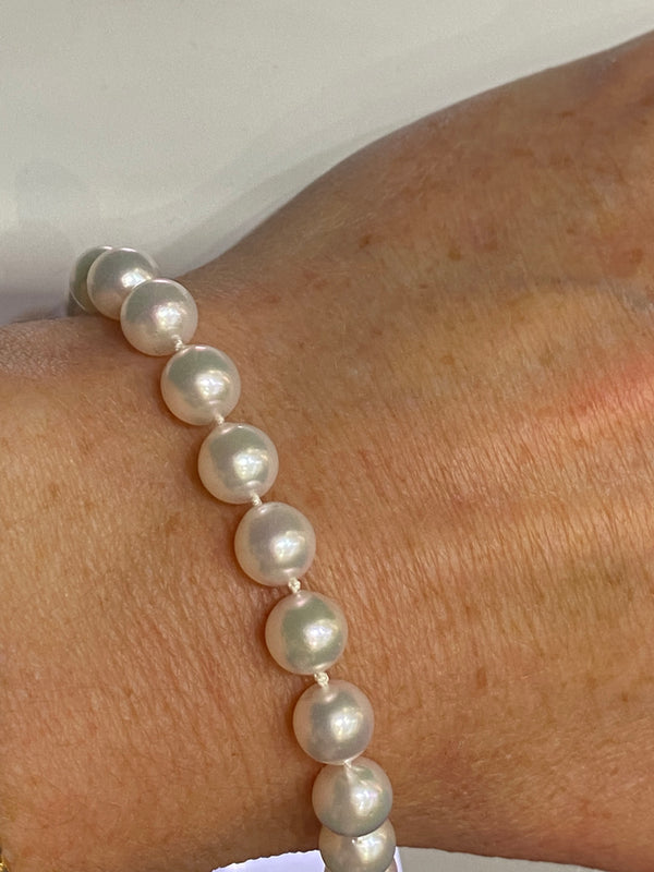 Akoya Pearl bracelet with 9ct yellow gold ball clasp