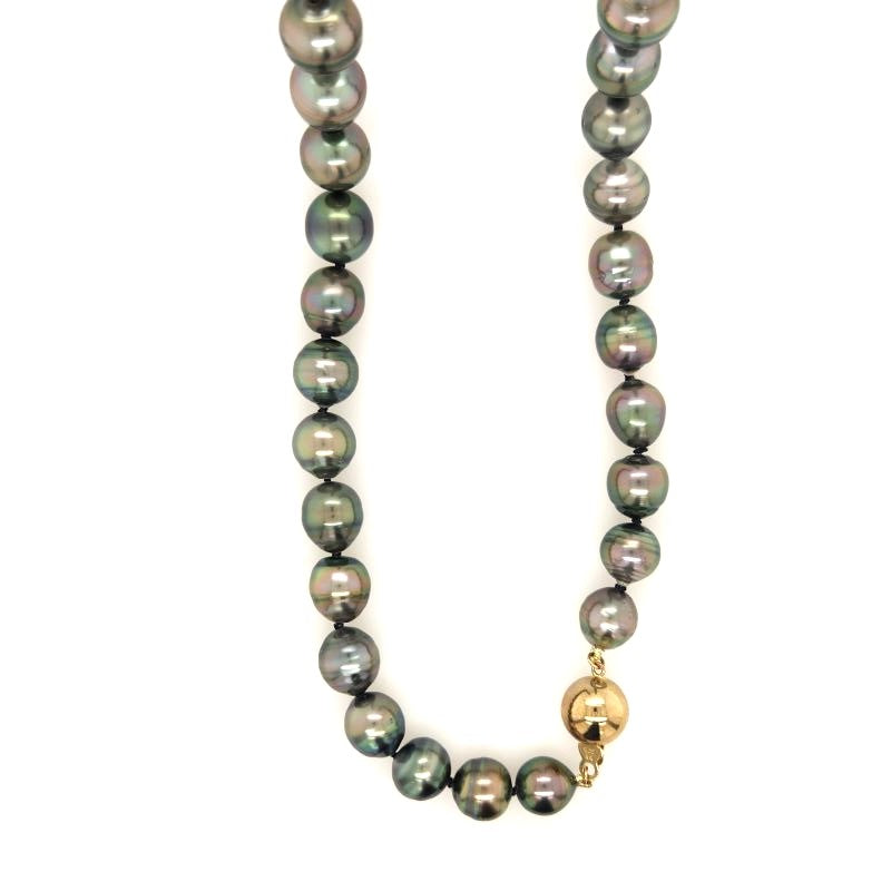 Tahitian South Sea Pearl Necklace – Trewarne Fine Jewellery