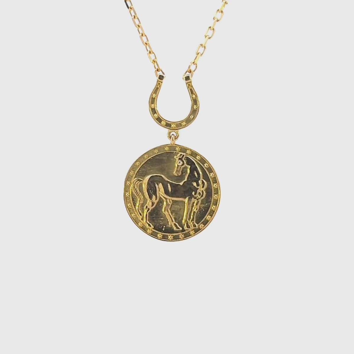 Close up video of horse medallion necklace