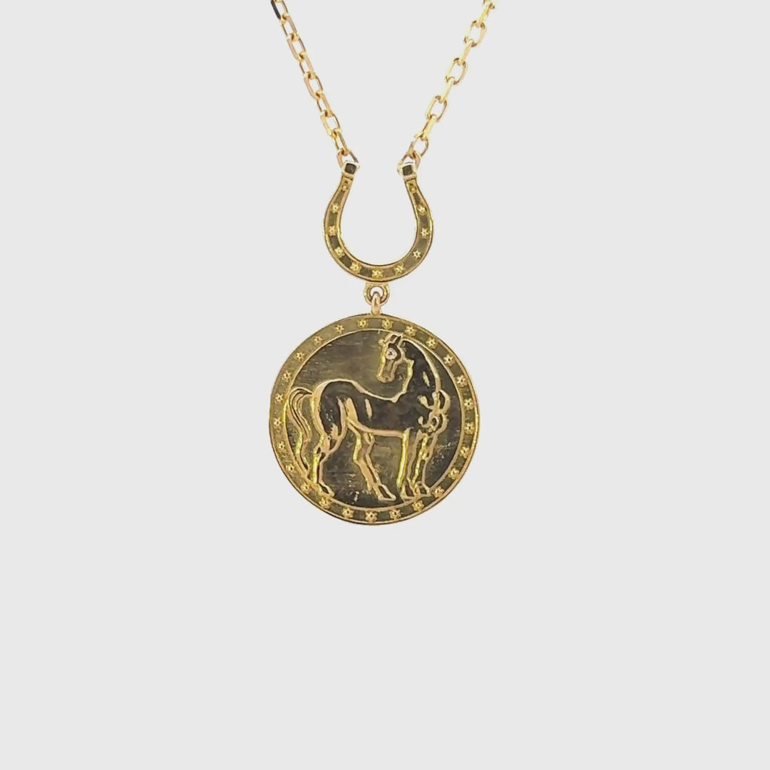 Close up video of horse medallion necklace